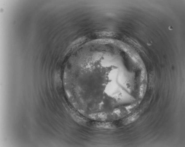 X0000085250377200703231656