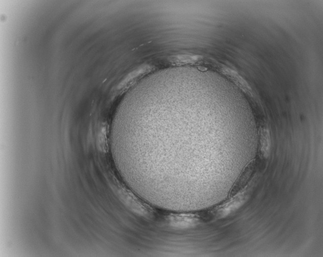 X0000085250378200703231656