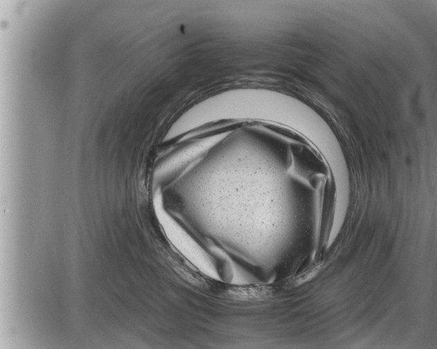 X0000085250381200703231656