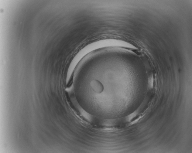 X0000085250382200703231656