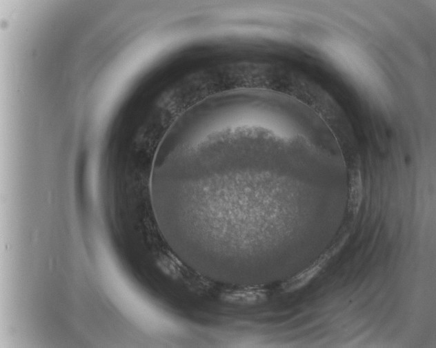 X0000085250383200703231656