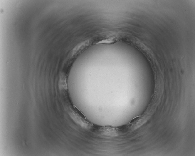 X0000085250384200703231656