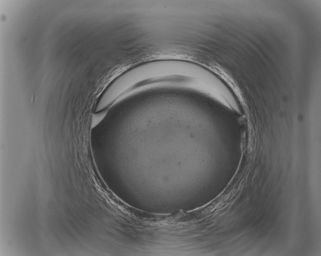 X0000085250385200703231655