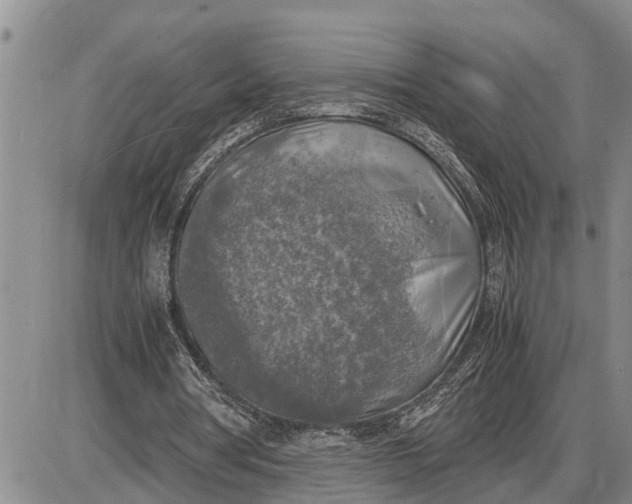 X0000085250386200703231655