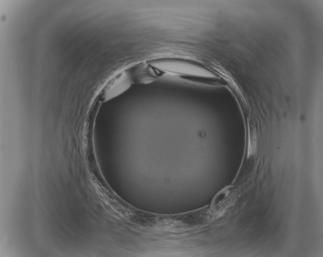 X0000085250387200703231655