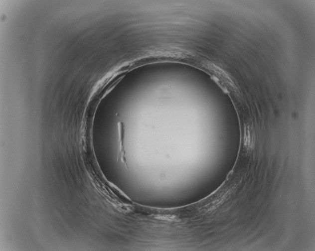 X0000085250388200703231655