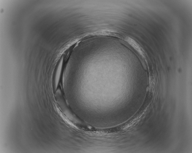 X0000085250389200703231655