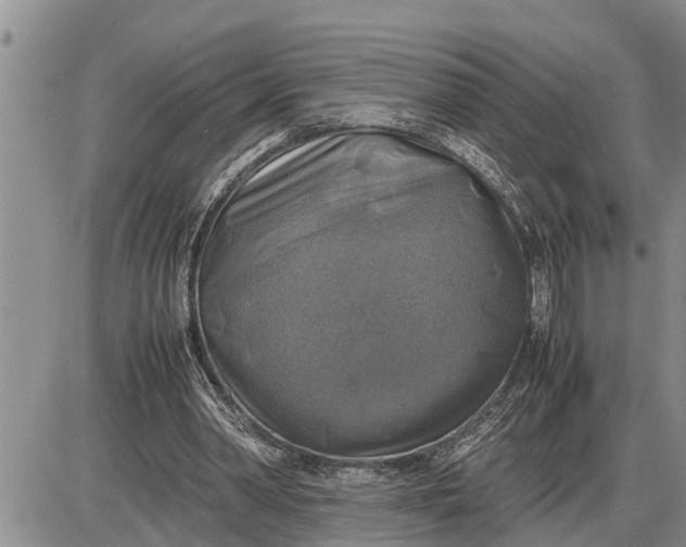 X0000085250390200703231655