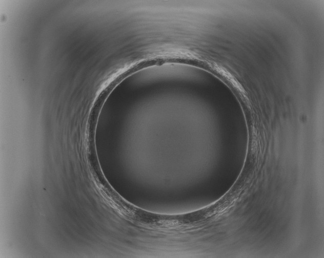 X0000085250391200703231655