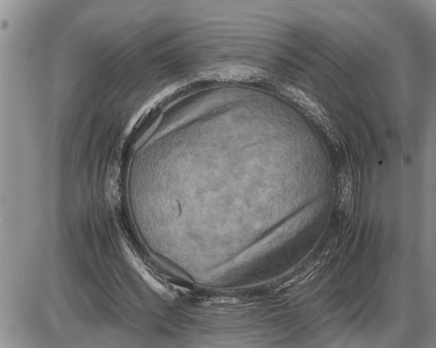 X0000085250392200703231655