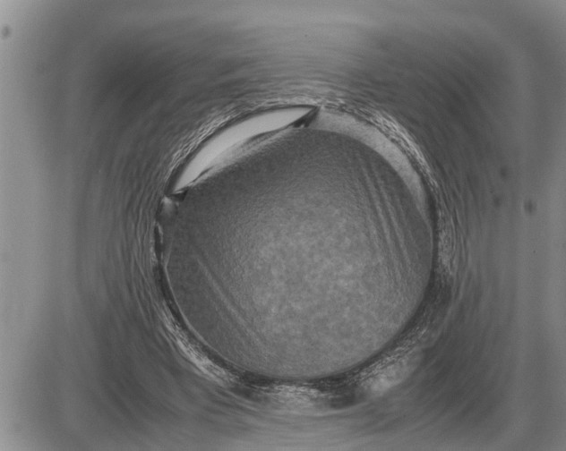 X0000085250393200703231655