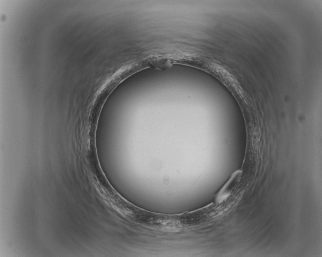 X0000085250395200703231655