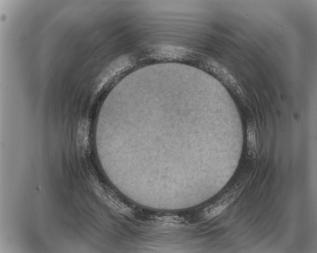 X0000085250396200703231655