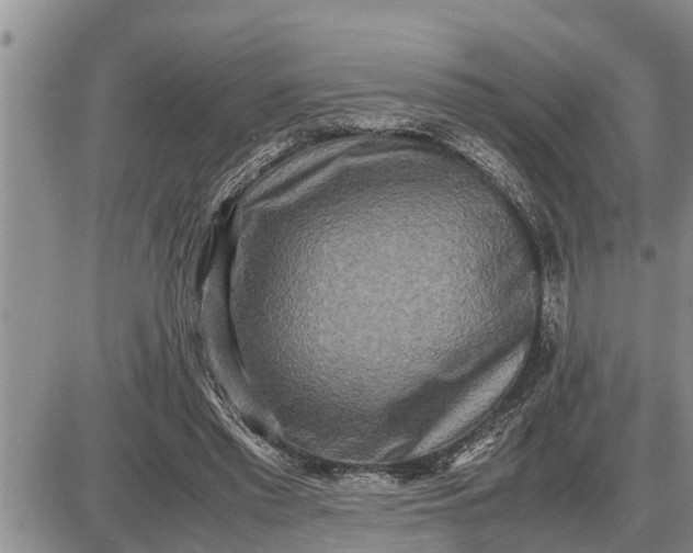 X0000085250397200703231655