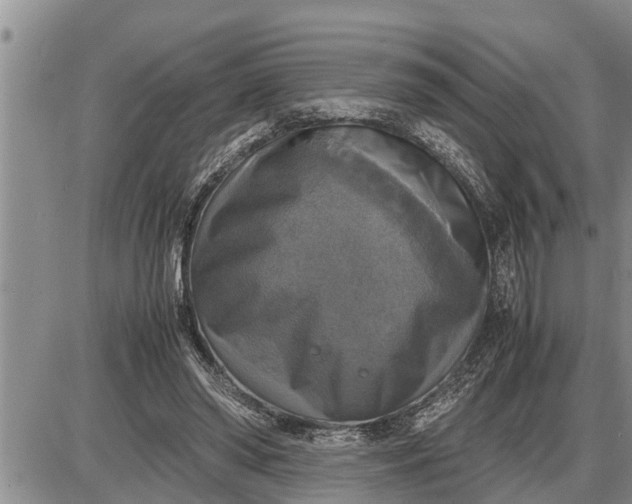 X0000085250398200703231655