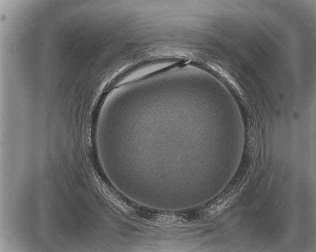 X0000085250399200703231655