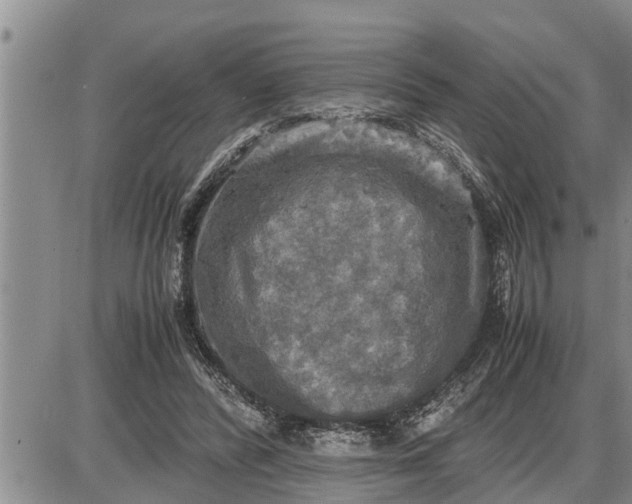 X0000085250400200703231655