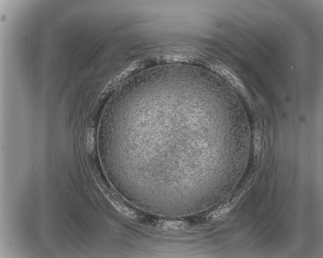 X0000085250401200703231655