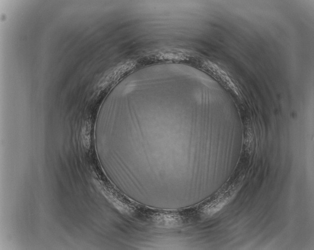 X0000085250402200703231655