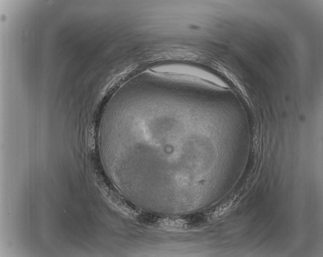 X0000085250403200703231655