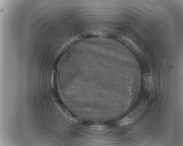 X0000085250404200703231655