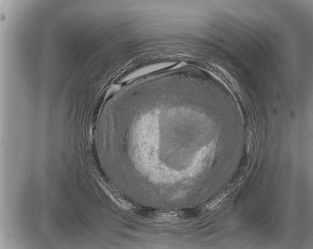 X0000085250405200703231655