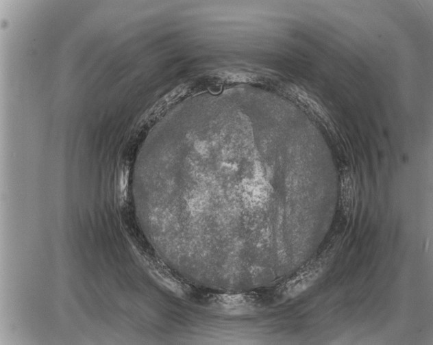 X0000085250406200703231655