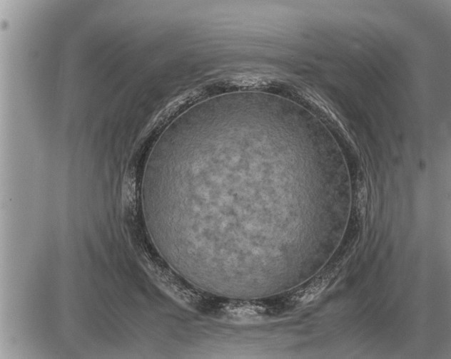 X0000085250407200703231655