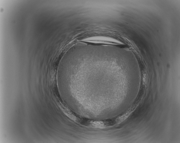 X0000085250409200703231655