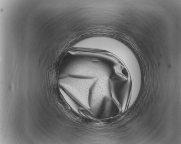 X0000085250411200703231655