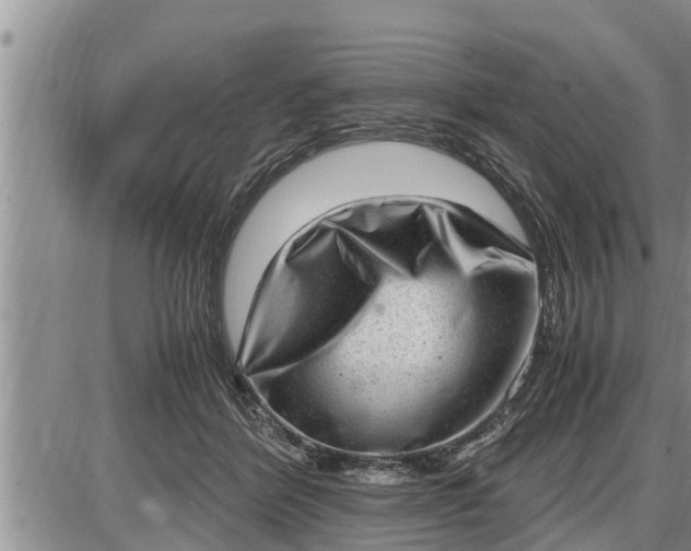 X0000085250412200703231655