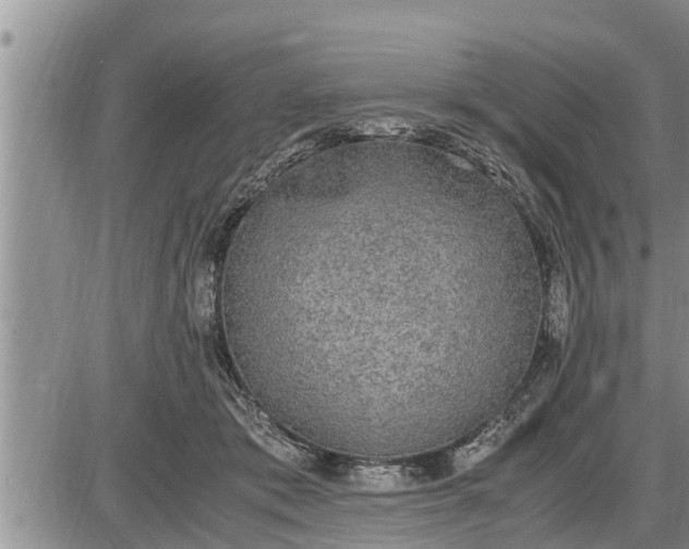 X0000085250413200703231655