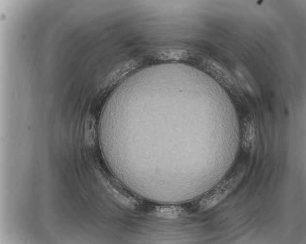 X0000085250414200703231655