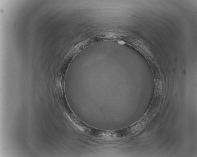 X0000085250415200703231655