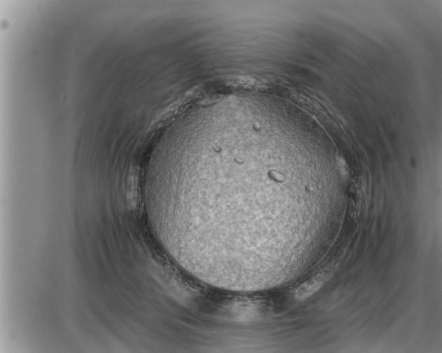 X0000085250416200703231655