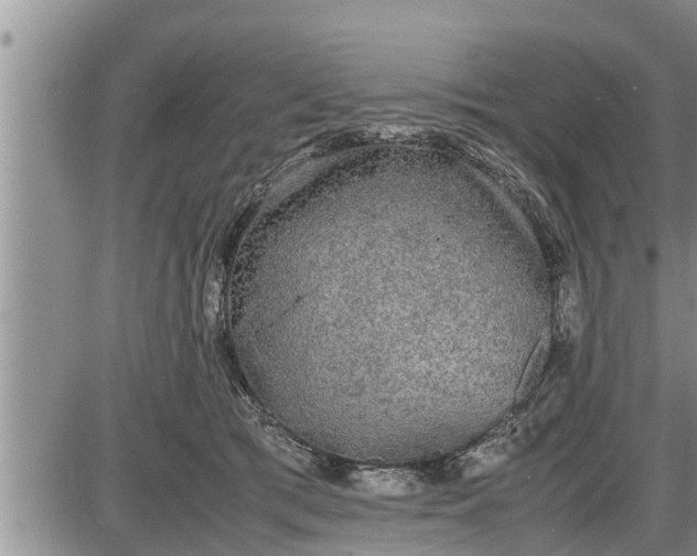 X0000085250417200703231655