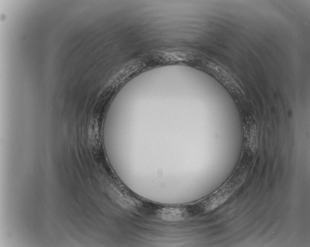 X0000085250418200703231655