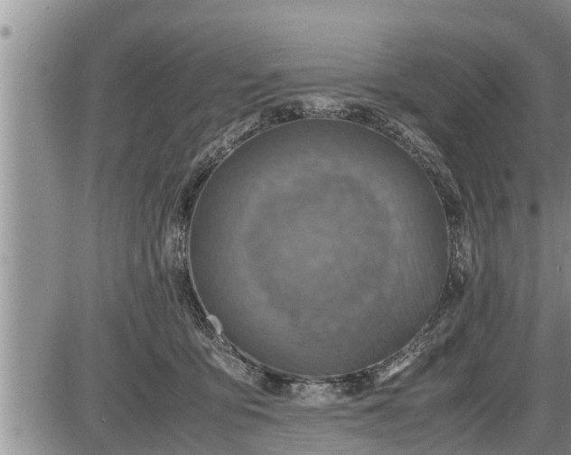 X0000085250419200703231655