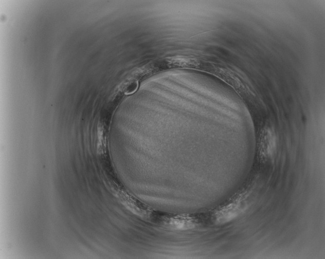 X0000085250420200703231655