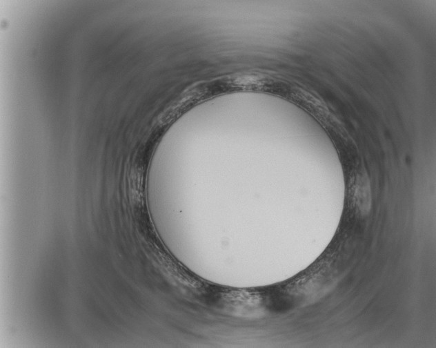 X0000085250421200703231655