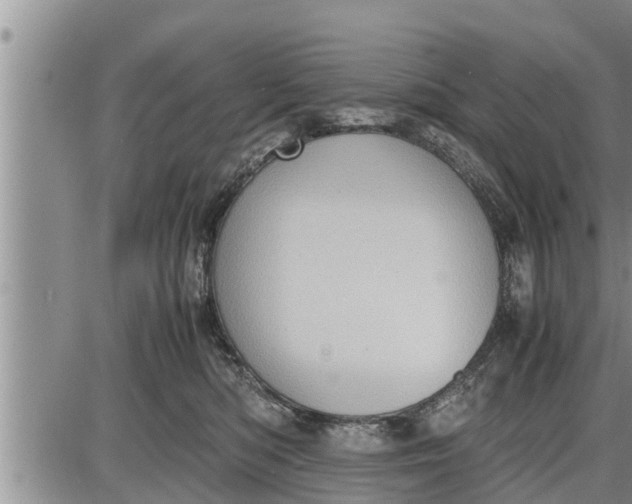 X0000085250422200703231655