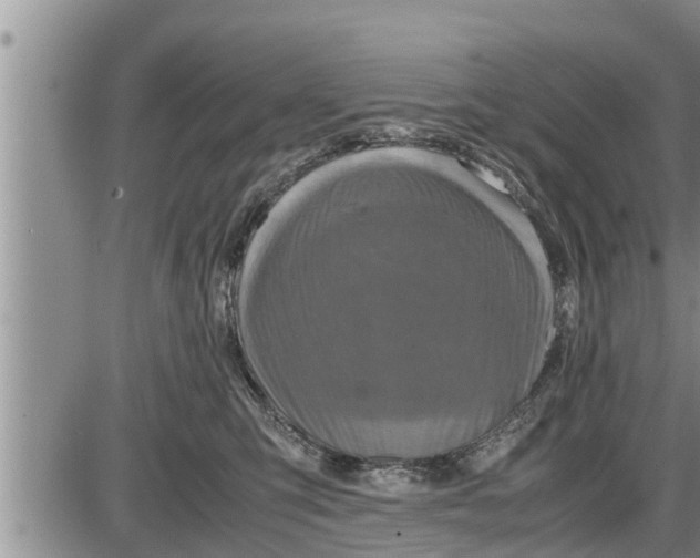 X0000085250423200703231655