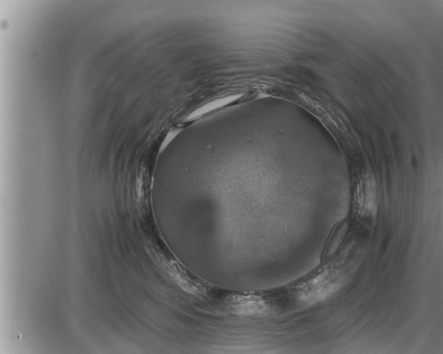 X0000085250424200703231654