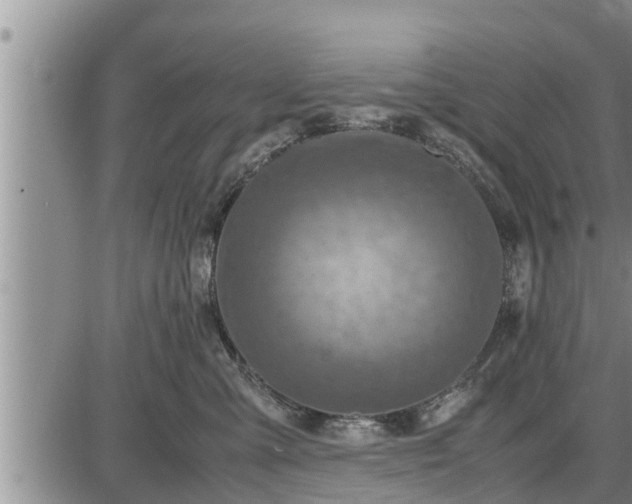 X0000085250427200703231654