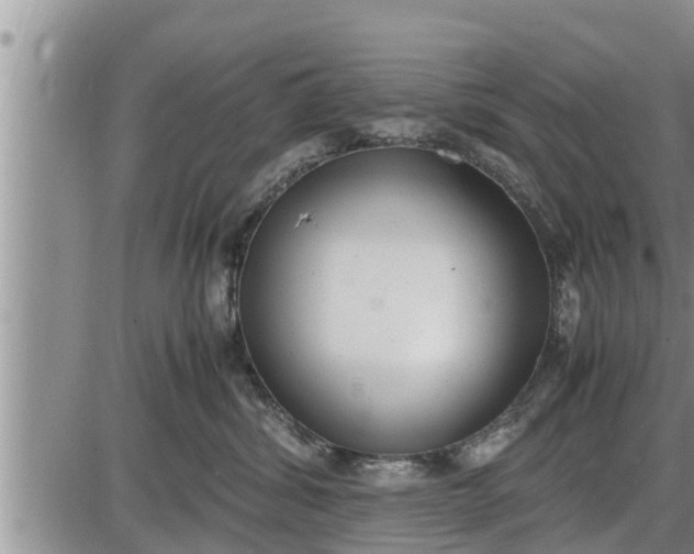 X0000085250428200703231654