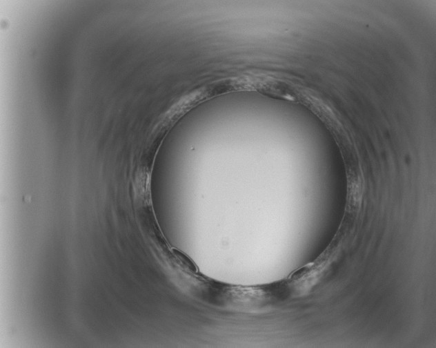 X0000085250429200703231654