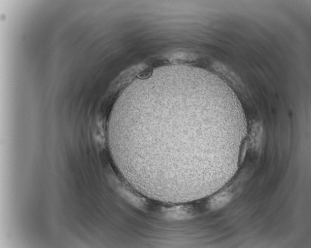 X0000085250430200703231654