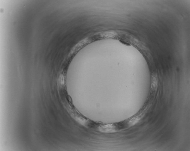 X0000085250431200703231654