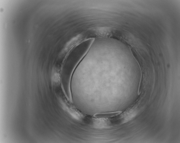 X0000085250432200703231654