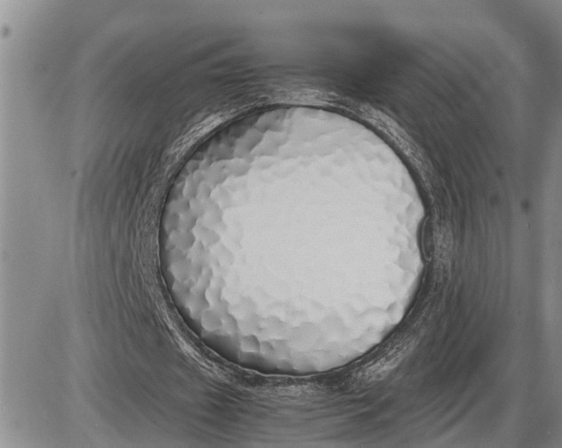 X0000085250433200703231654